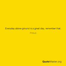 It means tha every day that you are alive (above ground) and not below ground (dead and buried) is a good day. Everyday Above Ground Is A Great Day Remember That Pitbull