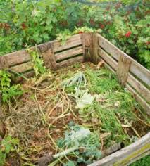 Alternatively, water the plants at the soil level, drenching the soil to feed the roots of the plant with your fish emulsion fertilizer. Growing Your Garden Compost Fish Emulsion And Mulch Our Farm By Earth Flora Inc