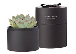 Maybe you would like to learn more about one of these? 47 Best Office Gift Ideas For Every Work Occasion In 2021