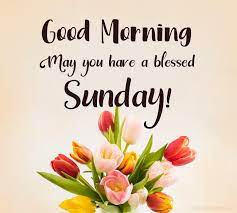 Check spelling or type a new query. 70 Happy Sunday Wishes Messages And Quotes Wishesmsg