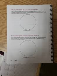 Maybe you would like to learn more about one of these? The Cell Lab 3 Name Section Pre Lab Questions The Chegg Com
