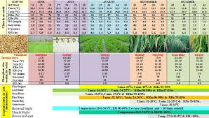 Chandrashekhar Azad University Of Agriculture And Technology Kanpur Agronomy