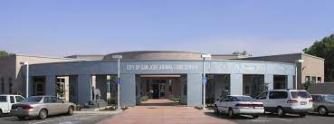 Svaca is currently limiting visits to the animal care center for your safety during the coronavirus pandemic. Public Art Shelter San Jose Animal Care Center Collections City Of San Jose