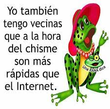 Vecinas Chistes Para Reir Frases Bonitas De Motivacion Frases Divertidas