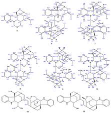 Image result for Strychnos matopensis