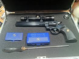 Image result for Black 1981 Colt