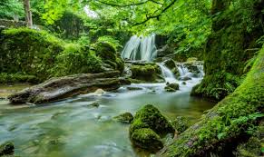 O canal natureza sons é voltado a pessoas que buscam música relaxante com sons da natureza, para dormir e descansar a mente. Musica Relaxante Sons Da Natureza Musica Relaxante Sons Suaves Da Natureza Acalmar E Dormir Musica Relaxante Musica Musica Para Relaxar Stream Sons Da Natureza By Musica Relaxante From Desktop Or