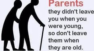 Pin On Elderly Quotes