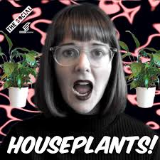 HOUSE PLANTS