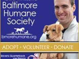 Send the press release to newspapers, radio and tv media. Pet Food Banks Archives Maryland Pet Guide