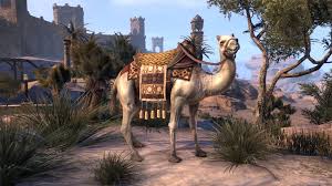 In black desert you can purchase a house in every city or a bigger village. The Elder Scrolls Online On Twitter 1 More Day To Get The Black Fredas Special Bundle Have You Gotten Your Zeht S Cloud Camel Mount Show Us Your Pics Https T Co Kgdxqax8vh Https T Co S8d8pqvp2l
