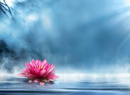 Maybe you would like to learn more about one of these? Spirituality Healing Touch