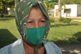 Poultry Farm Advances in Quail Breeding (+Photos)