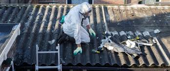 Ardoise amiante durée de vie. Toit En Fibrociment Quelle Decision Prendre Allotravaux Com