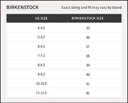 Birkenstock Arizona Slide Sandal Discontinued