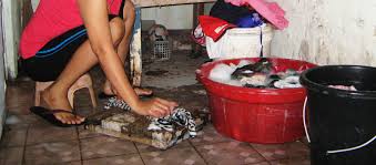 Hasil gambar untuk anak kos cuci baju