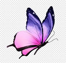 If you are experiencing a rough time, relax as you will receive guidance. Monarch Butterfly Pieridae Brush Footed Butterflies Butterfly Purple White Brush Footed Butterfly Png Pngwing