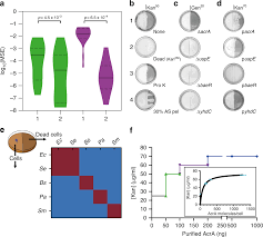 We did not find results for: Dead Cells Release A Necrosignal That Activates Antibiotic Survival Pathways In Bacterial Swarms Nature Communications
