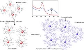 I was wondering if anyone knows is this would be enough to set off the metal detector at an airport. Assembly Of 6 Aza 2 Thiothymine On Gold Nanoparticles For Selective And Sensitive Colorimetric Detection Of Pencycuron In Water And Food Samples Sciencedirect