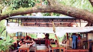 Explore The List Of 10 Best Cafes In North Goa Top10goa Com Cool Cafe Goa Cafe