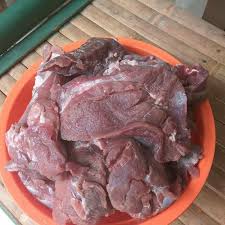 We did not find results for: Jual Daging Babi Hutan Atau Celeng Fresh Untuk Non Muslim Di Lapak Ronald Hutabarat Bukalapak