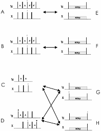 Nuclear magnetic resonance (nmr) spectroscopy is an incredibly powerful tool for characterizing molecular structures. Analogues Inept Driven And Hcp Driven Nmr Building Blocks To Be Used As Download Scientific Diagram