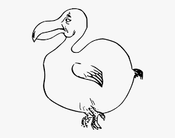 In an endothermic creature, cells generate heat that maintains the animal's body temperature, while ectothermic animals absorb heat from the surrounding environment. Dodo Bird Svg Clip Arts Extinct Animals Easy Drawing Hd Png Download Kindpng