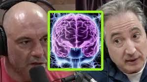 Joe rogan and Psychedlics