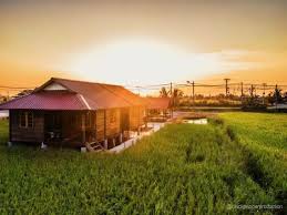 Pemandangan sawah padi di tanjong karang, selangor. Post Raya Blues These 5 Kampung Themed Destinations May Just Be The Cure Lifestyle Rojak Daily