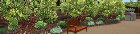 Creating a master plan for your landscape. Donna Lynn Landscape Designer Virtual Online Landscape Design And Plans For California And Arizona Design