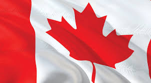 The maple leaf flag represents the values that make us canadian, values we've seen on display more than count the number of canadian flags that you see today. National Flag Day A Day To Reflect On What Being A Canadian Means To You