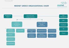 Organizational Chart Mednet Greece