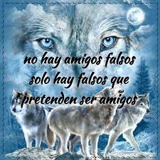 Photofy Photofyapp Frases De Lobos Frases Imagenes De Lobos