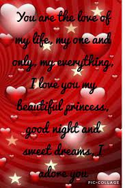 Put these love quotes to work. You Are The Love Of My Life My One And Only My Everything I Love You My Beautiful Princess Goo Sweet Dreams My Love Good Night I Love You Sweet Dreams
