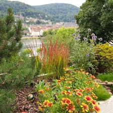 Check spelling or type a new query. Gartengestaltung Heidelberg Galabau Gartenbau Gartenpflege Bb Gartenarchitektur