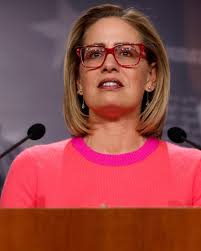 Arizona Senate race between Lake, Gallego could come down to rebranding  battle