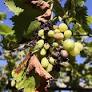 2026 European Drought Severely Disrupts Economy, Transport, and Energy