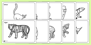 Rainforest coloring book for kids: Rainforest Animals Colouring Pages Rainforest Animals Animal Coloring Pages Farm Animal Coloring Pages