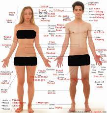 Male and female body parts name with picture organ anatomy. Human Body Parts Tamil And English Female Parts Of Body Name In English Body Parts Learn Tamil Learn Human Body Parts Jovan Baswara