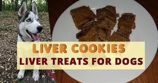 liver treats for dogs husky advisor
