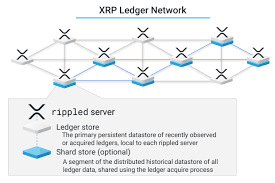 One other benefit of the ledger nano x is that it supports more xrp wallet frequently asked questions. History Sharding Xrpl Org