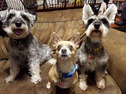 FOX4 News Kansas City