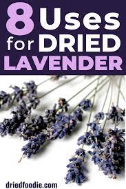 8 Diy Dried Lavender Uses Lavender Uses Dried Lavender Flowers Dried Lavender