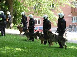 Police Dog Simple English Wikipedia The Free Encyclopedia