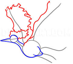 Seeking more png image torn page png,coloring pages png,pokemon logo png? How To Draw Moltres Coloring Page Trace Drawing