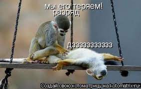 Котоматрица: мы его теряем! разряд дззззззззззз