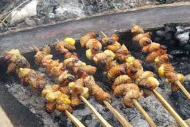 Ulat sagu berada pada alur makan yang dibuatnya. Makan Ulat Sagu Halal Benarkah Makanan Eksotik Borneo Ulat Mulong Haram Dimakan