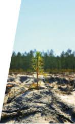 Sortie le 12 septembre 2018. Le Temps Des Forets Alpes Mancelles Activites Cinema Films Dessins Animes 3d