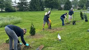Court Ordered Community Service - Schreiber Center for Pediatric Development