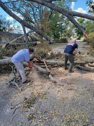 Bainbridge Public Safety sent...